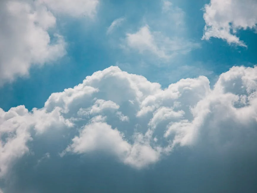 Quantiphi Wins 2026 Google Cloud Partner of the Year in Four Categories — Environment Nature