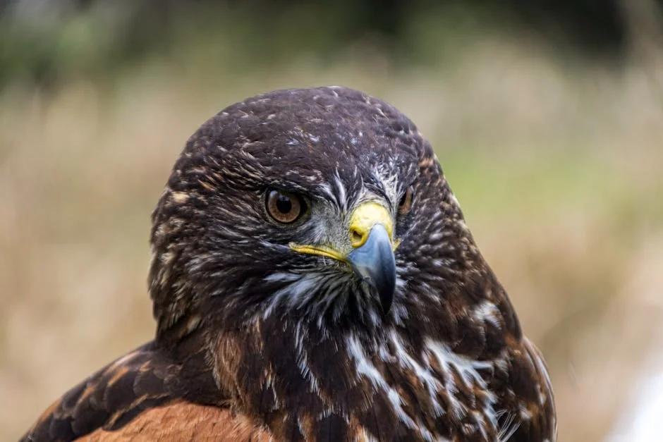 Raptor 2.0: Advancements in Military Technology and African Development