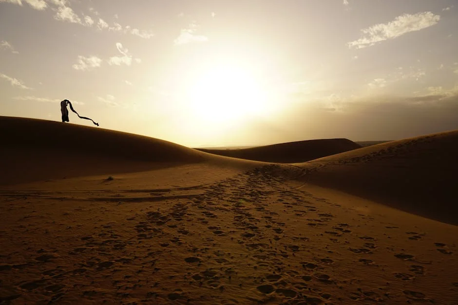 Regragui resigns from Morocco's national team ahead of World Cup: what it means for African football — Economy Business