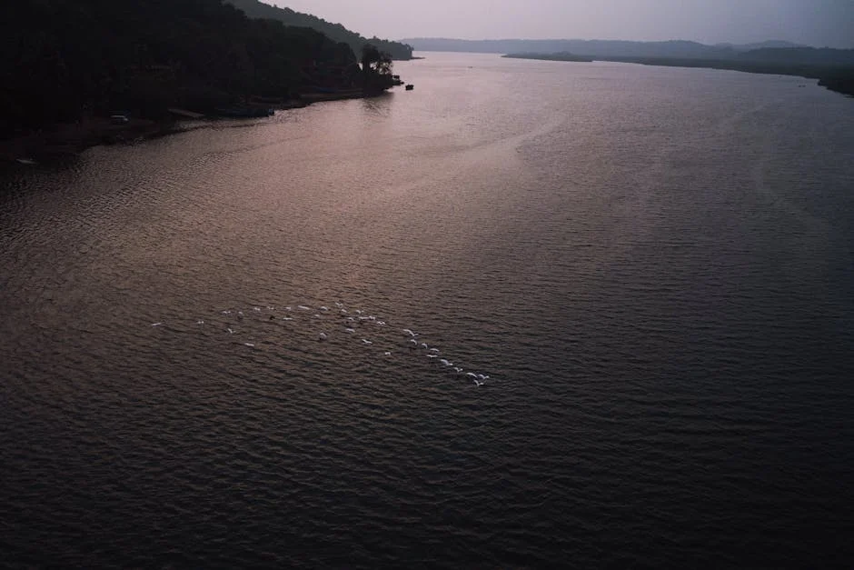 Royal Artillery Faces Backlash Over Denial of Access to Asante Treasure — Technology Innovation