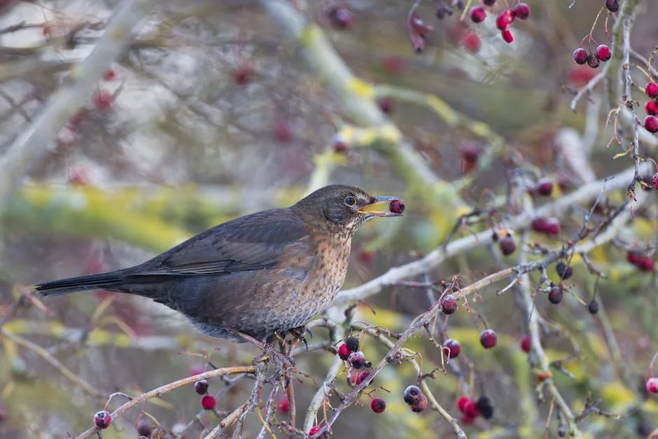 RSPB Warns Against Feeding Birds in Warm Months