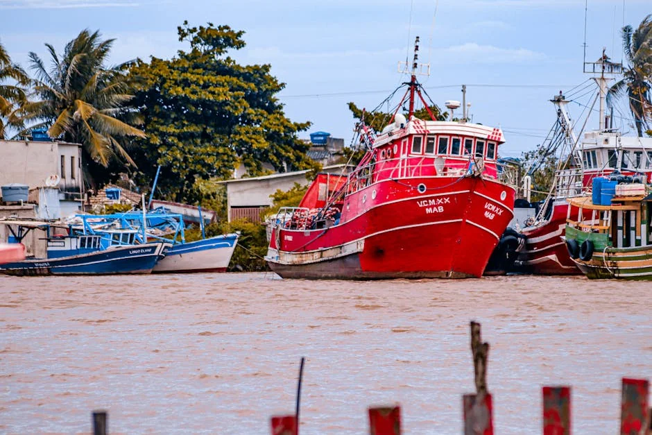SA Shipping Surge Threatens Whales — What Nigeria Must Watch — Environment Nature