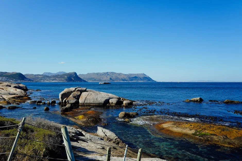SA Weather Service Warns: Cape Winds Hit Infrastructure Hard — Economy Business