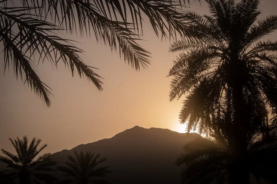 Saudi Arabia Shifts From Vision 2030 to Pragmatism Under Mohammed — Economy Business