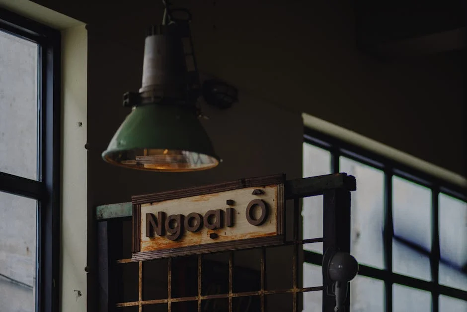 Scariolo Launches Bold Push for Nigerian Leadership — and Challenges the Status Quo