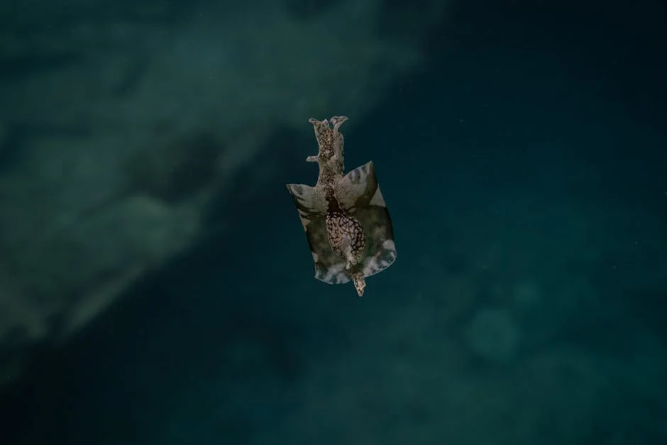 Scientists Uncover Secrets of Bat Poo in Gorongosa Park — Economy Business