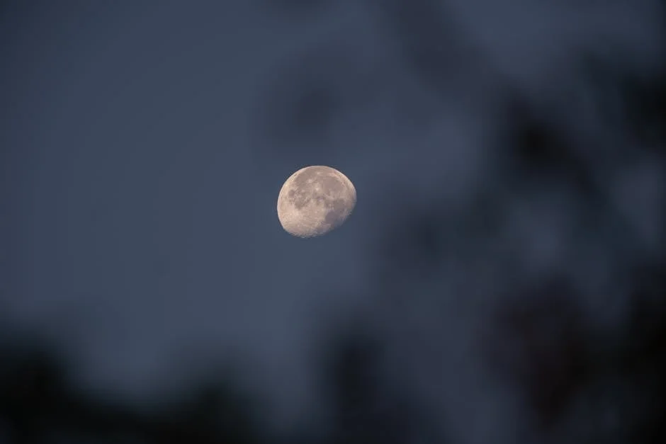 Scientists Unveil Potential of Human Waste to Boost Lunar and Martian Agriculture — Economy Business