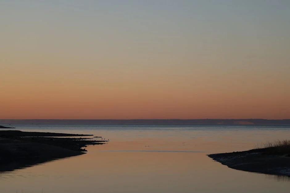 Seguro Appoints General Maia Pereira as Head of Casa Militar — What This Means for Nigeria — Economy Business