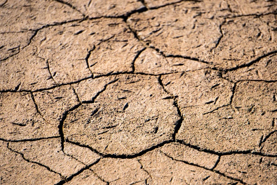 Somalia’s Drought Crisis Deepens as Aid Cuts Trigger Famine