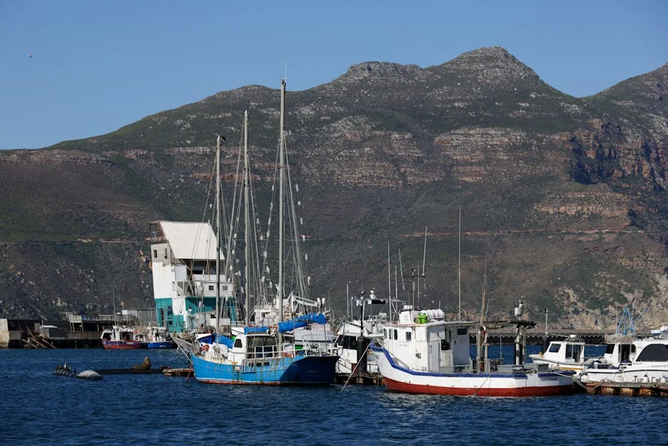 South Africa Bars Repeat Asylum Claims — Politics Governance