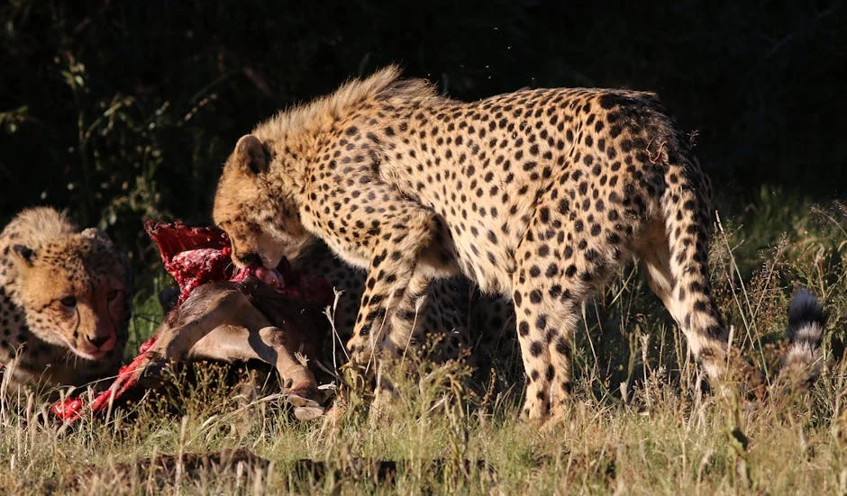 South Africa Closes Kruger Park as Storms Surge — Health Medicine