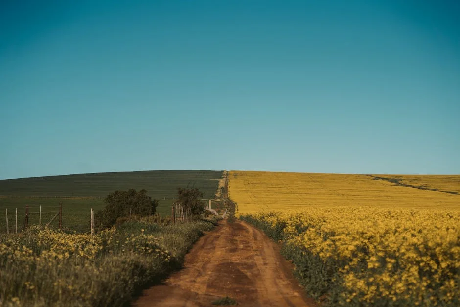 South Africa Declares Second Republic — What It Means for Africa — Economy Business