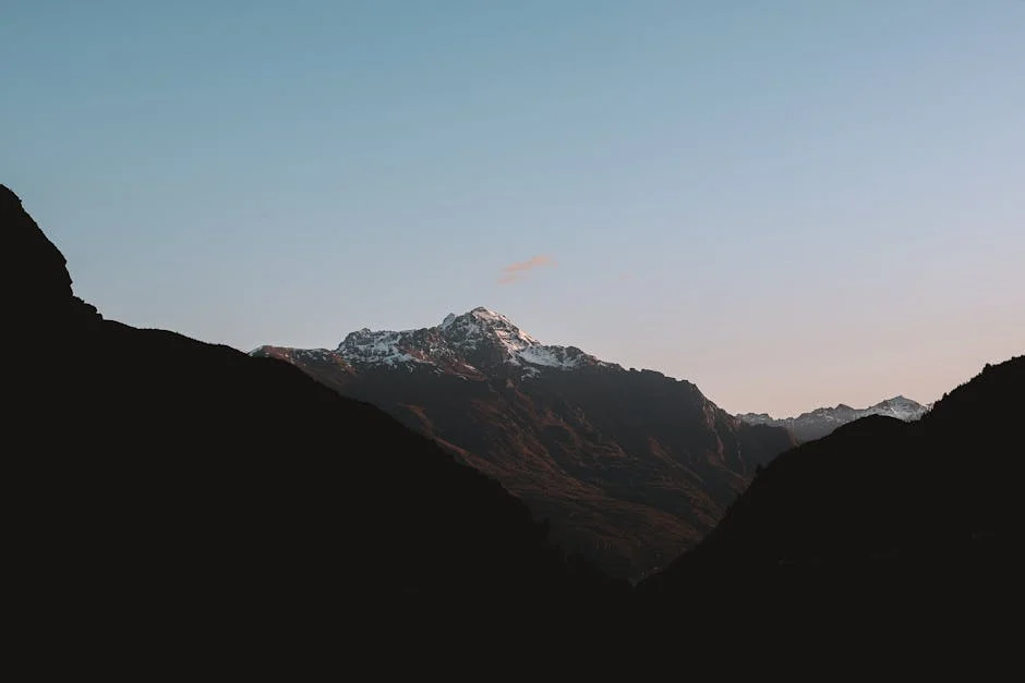 South Africa Defeats Zimbabwe to Advance to Semi-Finals Against New Zealand: What’s Next? — Technology Innovation