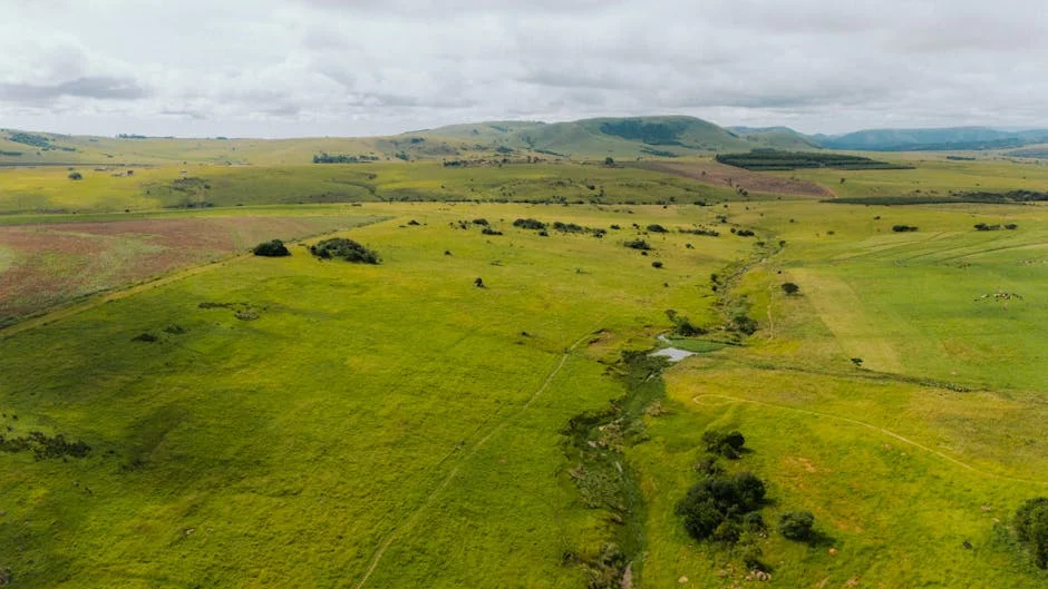 South Africa Demands Local Production of HIV Drug Lenacapavir: A Game Changer? — Health Medicine