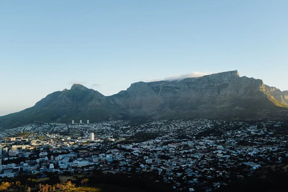 South Africa Halts Daily Lotto Draw — Economic Shock Hits Nigeria — Politics Governance