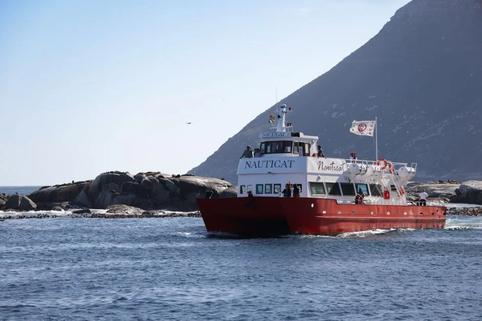 South Africa Halts Ships to Save Whales — Trade Cost Revealed
