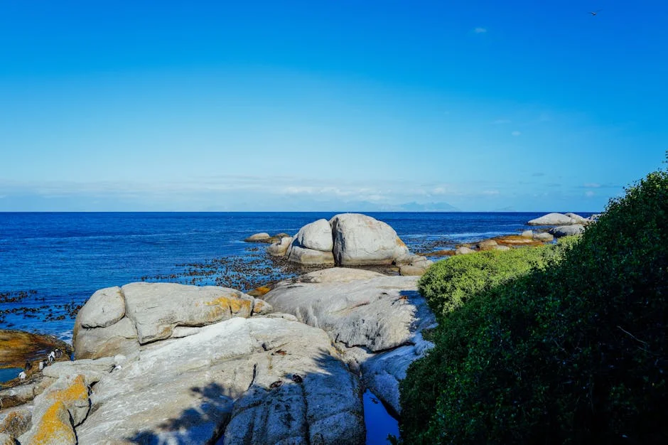 South Africa Launches Space Agency to Boost Tech and Education — Economy Business