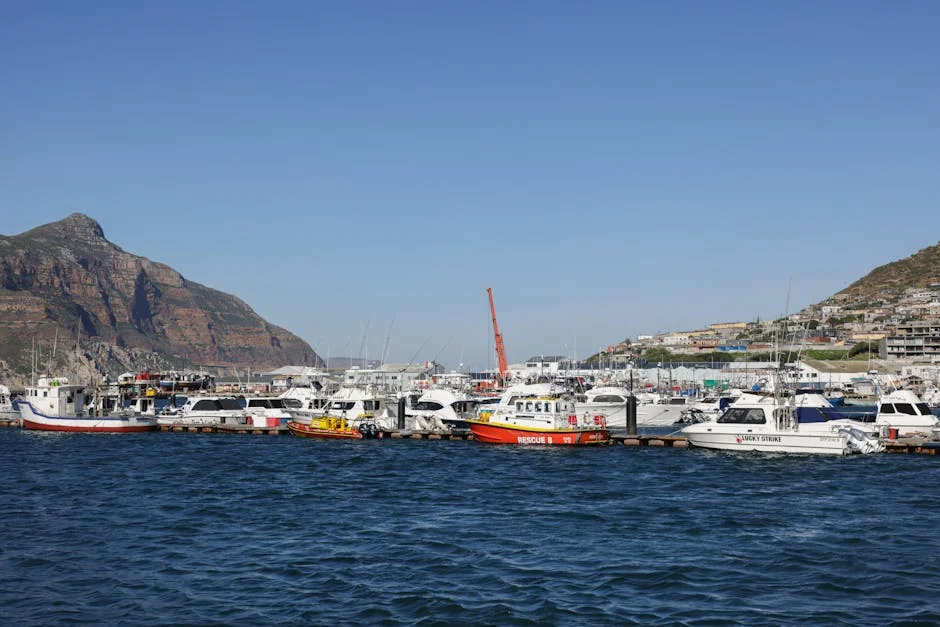 South Africa Postpones Key Corruption Probe — What It Reveals About Governance — Health Medicine