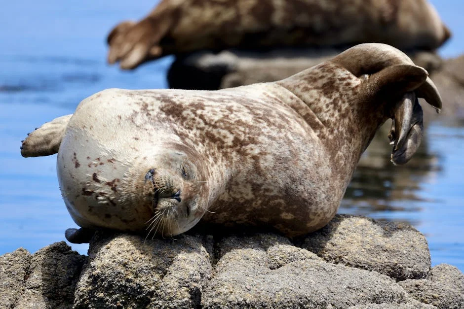 South Africa Seals Hong Kong Semis Win With Last-Minute Try — Economy Business