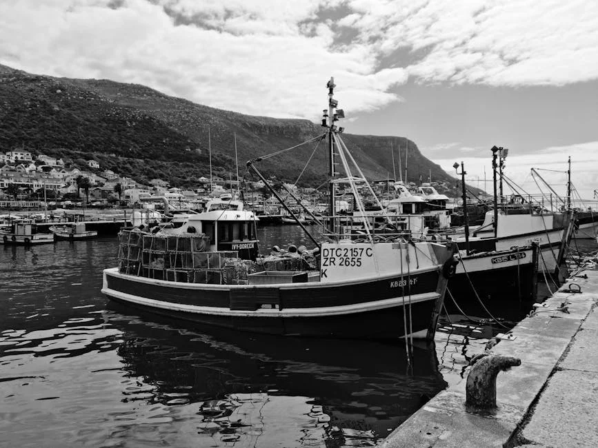 South Africa Seizes Four Chinese Vessels in EEZ Violation