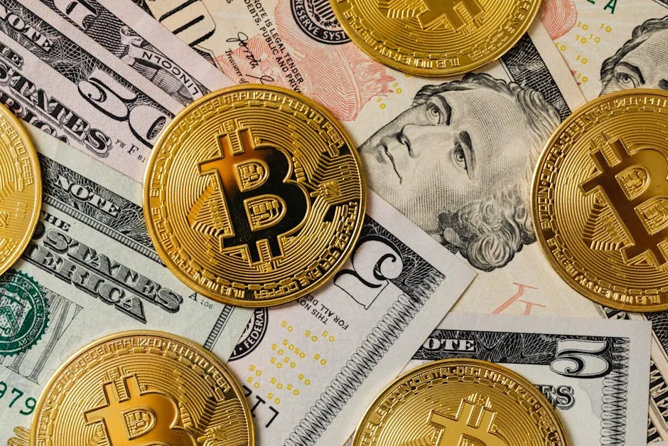 South Africa's Bitcoin Price Surge Sparks Economic Debate — Economy Business