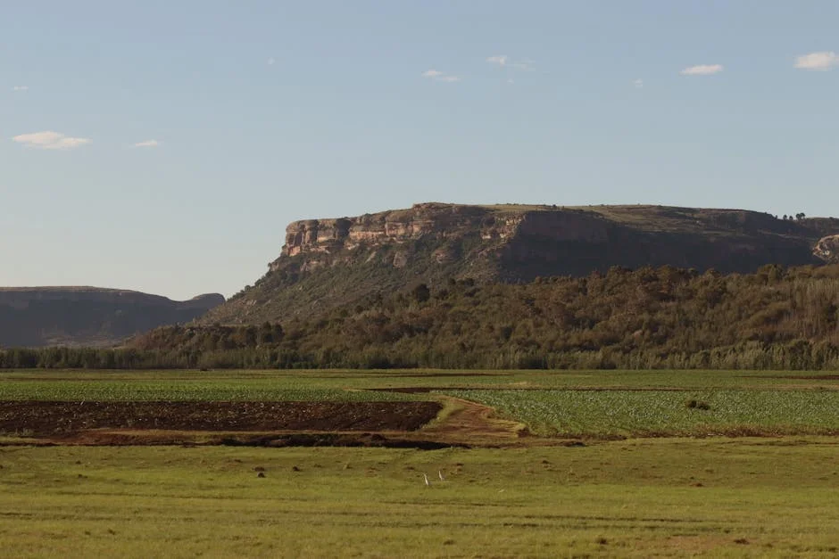 South Africa's Military Deployment in Lesotho Reveals Initial Successes - But Challenges Loom