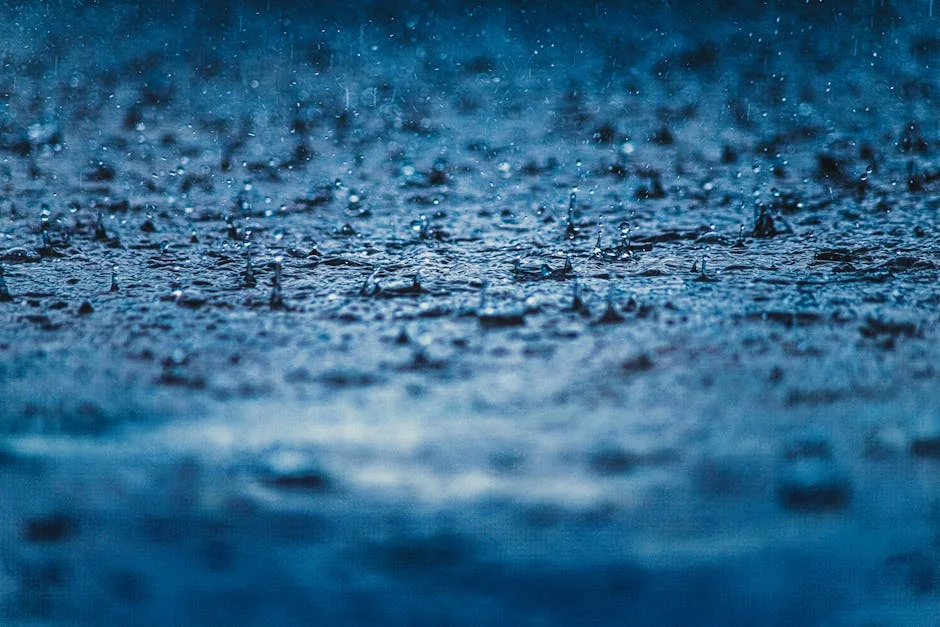 South Africa's Rain Crisis Triggers Food Security Alarm — Economy Business