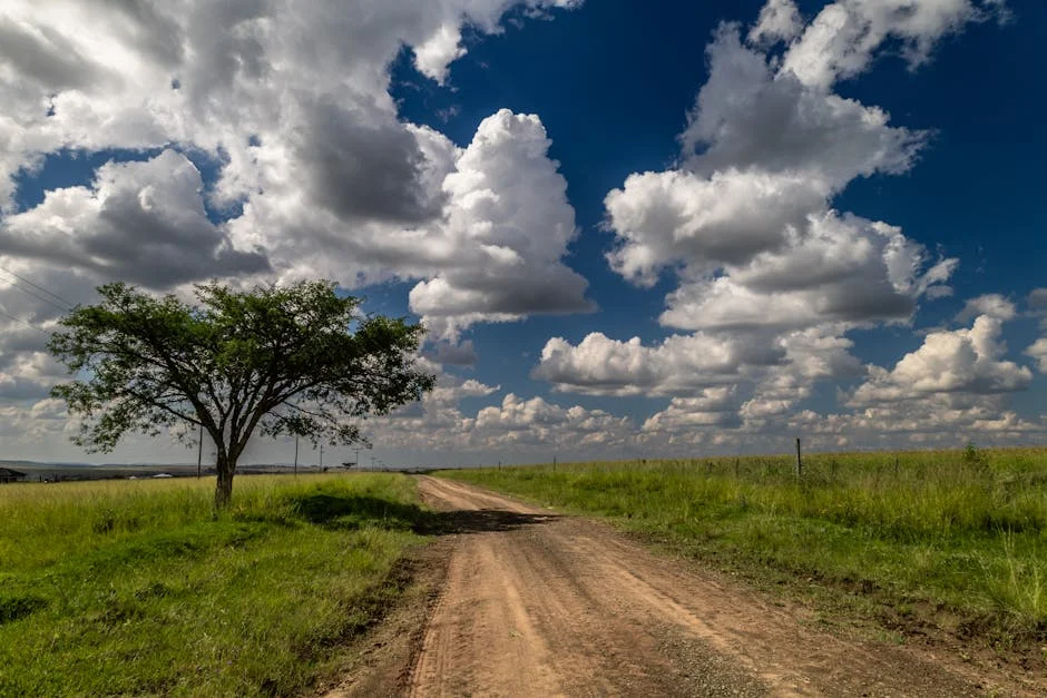 South Africa's Realising Initiative Targets Sustainable Offshore Development — Environment Nature