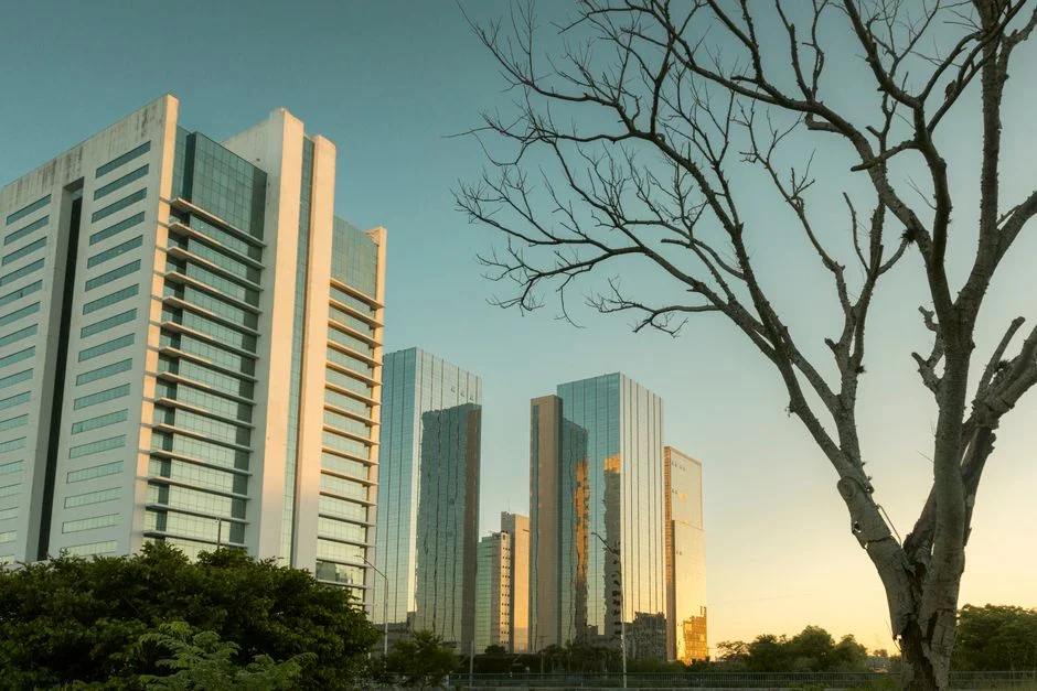 South Africa's REIT Market Defies Global Headwinds as Property Trusts Gain Ground