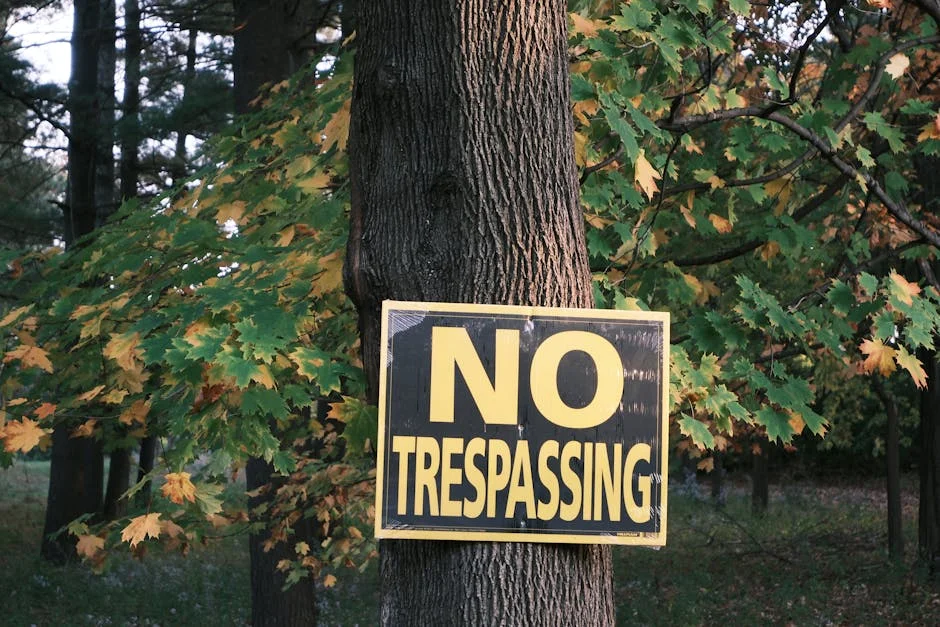 South Africa's Weather Service Warns of Disruptive Rain in Western Cape — Economy Business