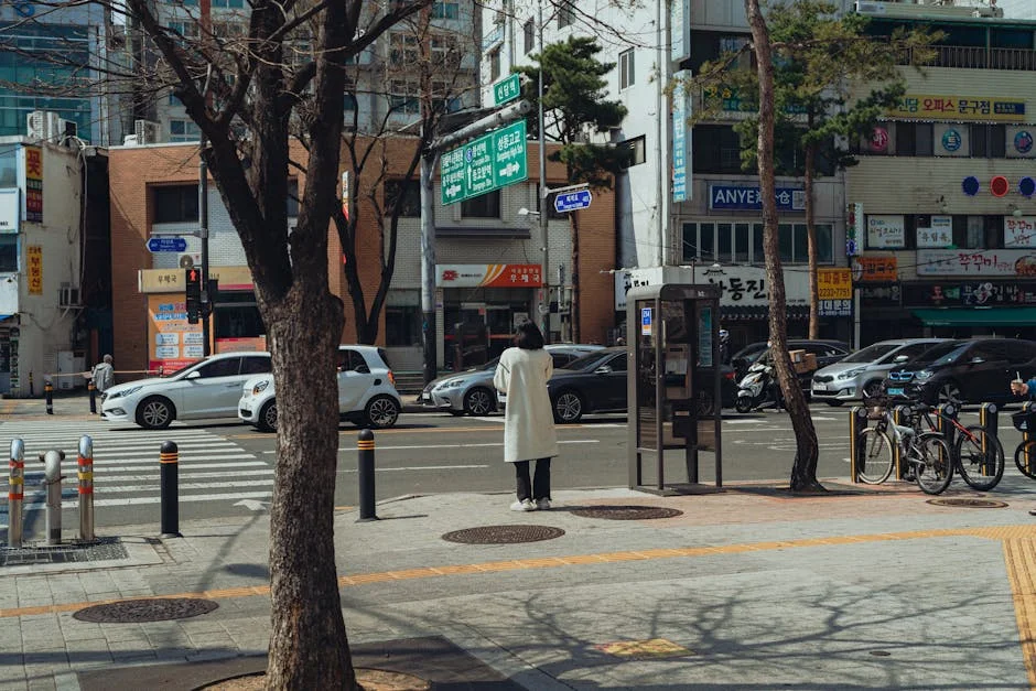 South Korea Deploys Thermal Cameras to Hunt Escaped Zoo Wolf — Economy Business