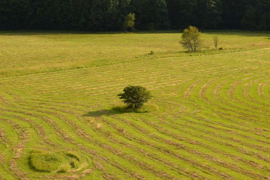 South Sudan Army Prosecutes Soldiers for Ayod County Civilian Massacre — What It Means for Stability — Politics Governance