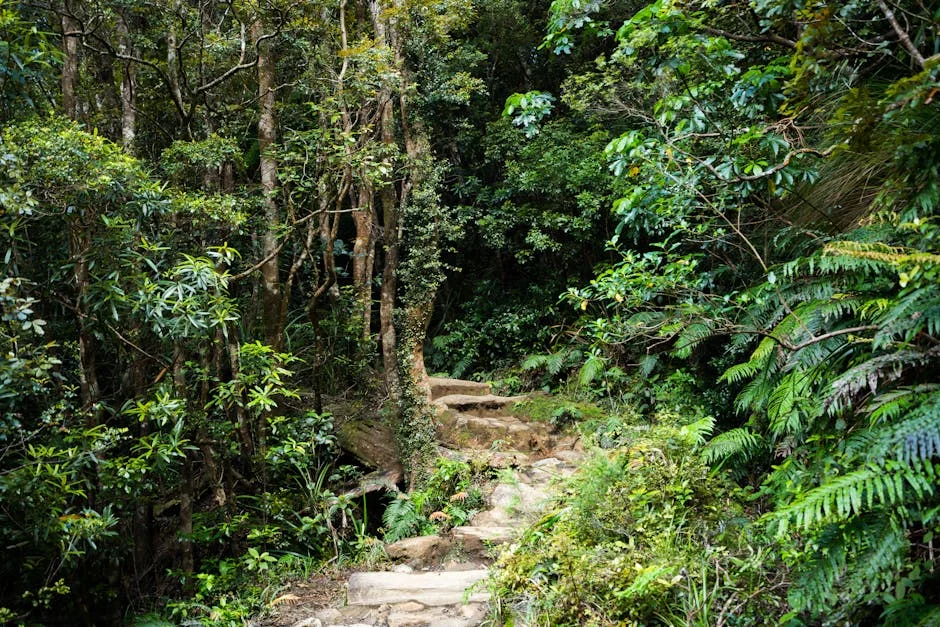 Southern Africa's 2025 Scorecard Highlights Health and Gender Equality Challenges — Technology Innovation