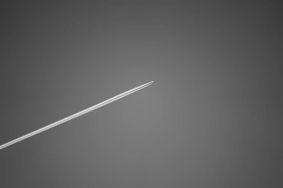 SpaceX Launches Starship Version 3 for Historic May Test — Economy Business