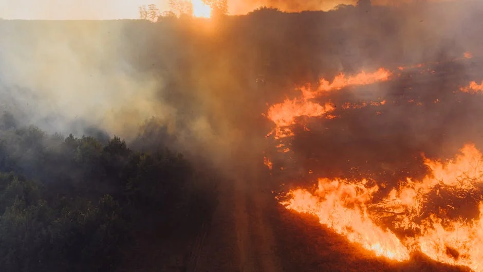 Spain Forces 700 Firefighters Into Action — Africa Must Watch — Technology Innovation