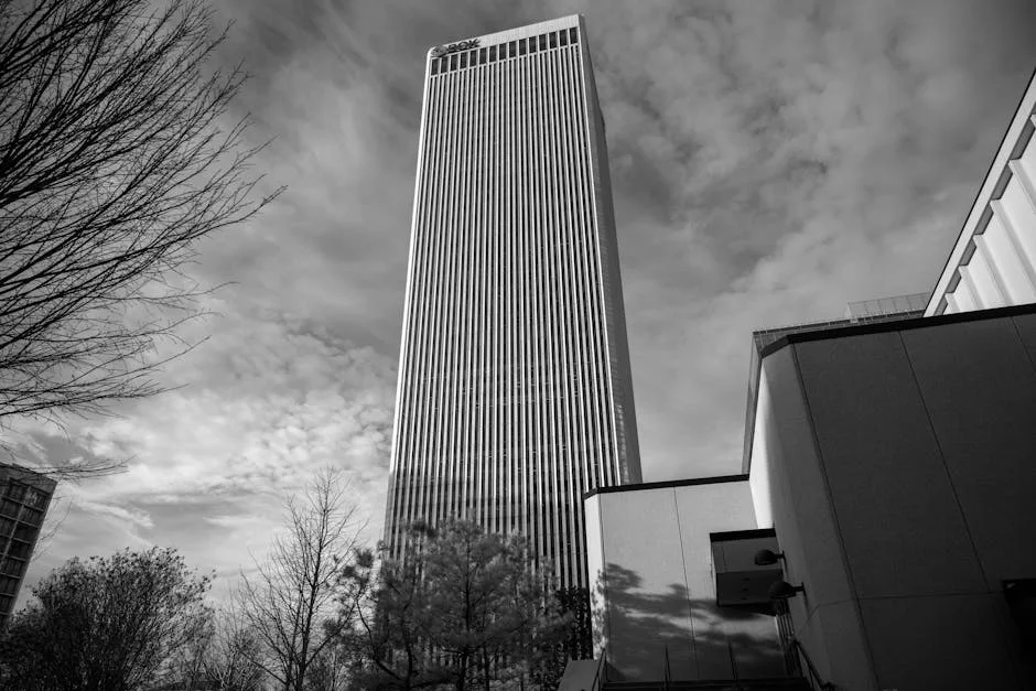 Springboks Confirm Strong Financial Position Ahead of Baltimore Test Against All Blacks — Politics Governance