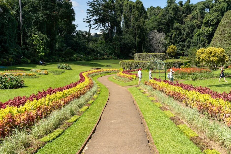 Sri Lanka Receives 38,000 Tonnes of Fuel from India Amid West Asia Crisis — Economy Business