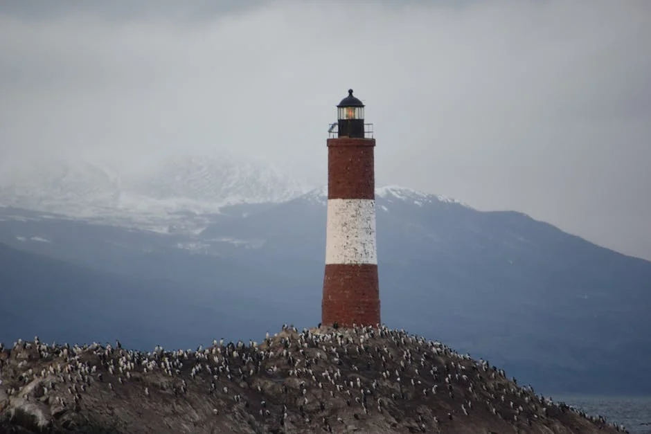 State Audit Law Set for Revision: Implications for African Governance — Technology Innovation