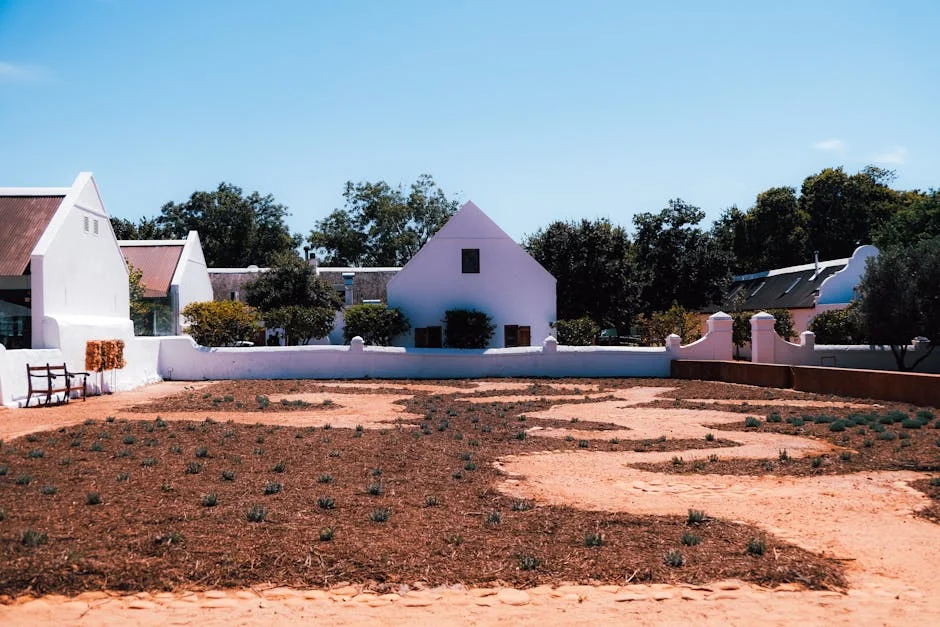 Stellenbosch University Head Resigns Amid Vandalism Scandal — What It Means for Governance — Economy Business