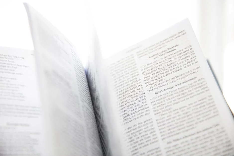 Stoneweg and Mutua Launch 300m Euro Hotel Fund Across Europe — Economy Business