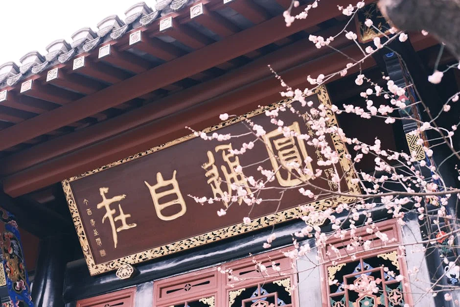 Sudanese Army Launches Offensive in El Fasher — Civilians Flee 'Pits of Hell' — Economy Business