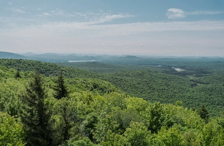 Sudan's Atrocities: A Call to Action for African Development and Unity — Politics Governance