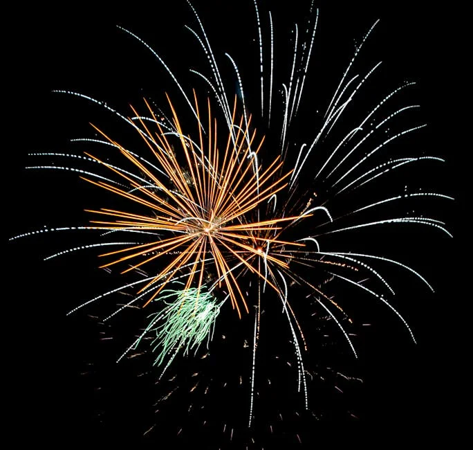 Tamil Nadu Fireworks Blast Kills 13 in 3-Day Spree — Economy Business