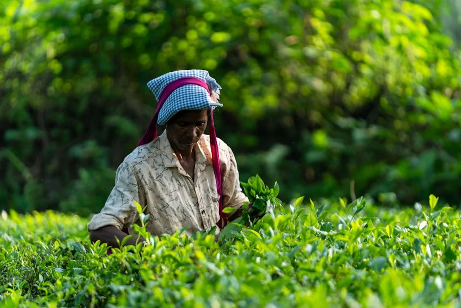 Tamil Nadu Launches Coonoor Sustainability Plan — Bhavani River in Focus — Politics Governance