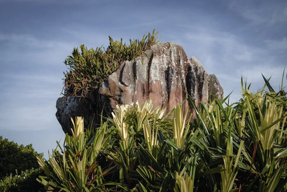 Teatro Maria Vitória Suspends Activities Amid Infrastructure Concerns