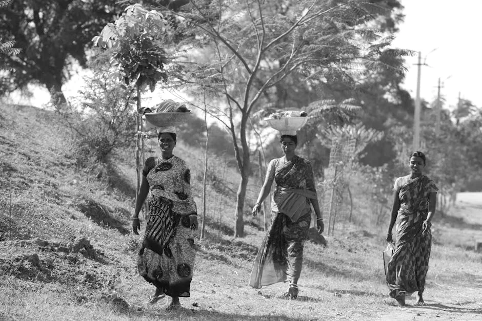 Telangana Students Sell Veggies at Sangareddy Collectorate: A Lesson in Agriculture — Economy Business