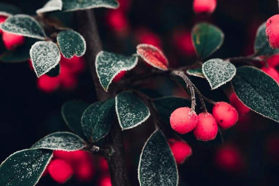 The 'No' Campaign Against Prohibition: Implications for African Governance — Technology Innovation