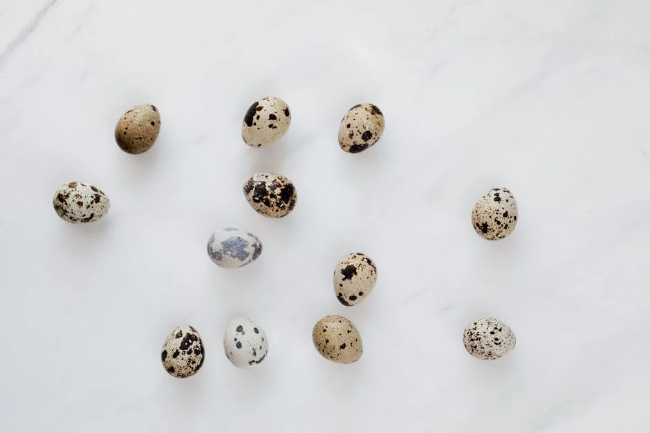 The Role of Travel Magazines in a Digital World: Insights from Qual — Technology Innovation