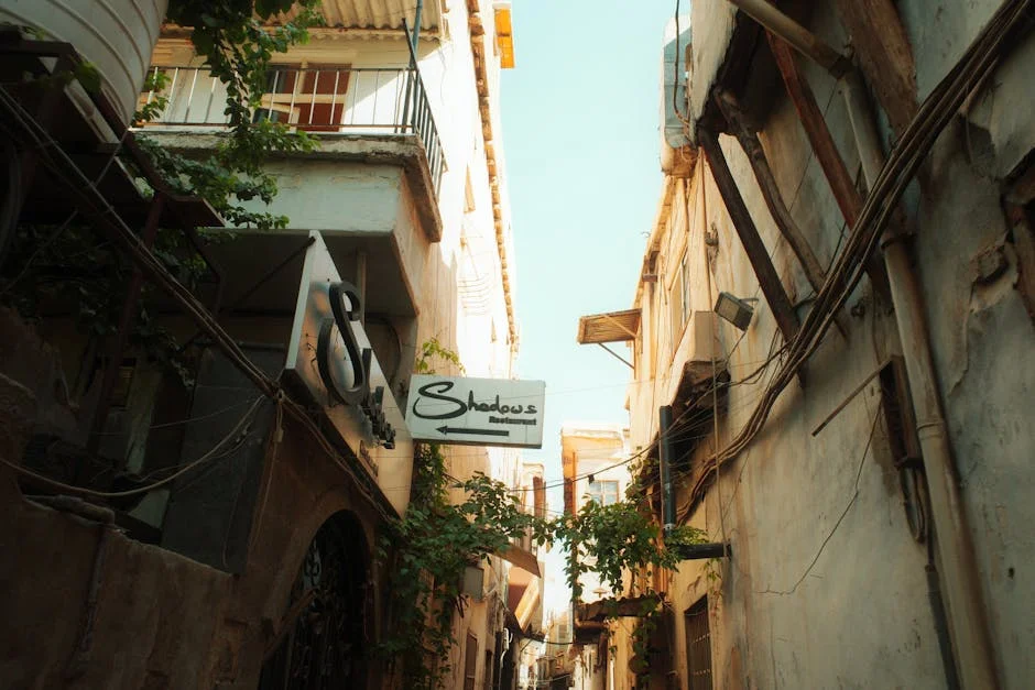 Tinubu Expands Natural Gas Mandate to Boost EVs Amid Climate Push — Politics Governance