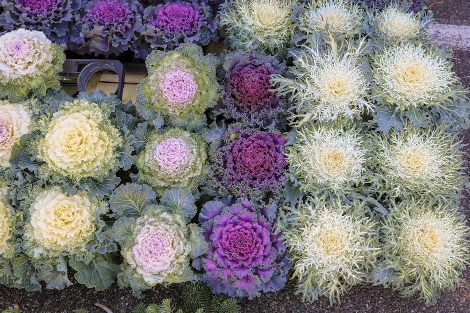 Tirelo Kale Celebrates 26th Birthday with Stunning Photoshoot — and a New Jewellery Line — Economy Business